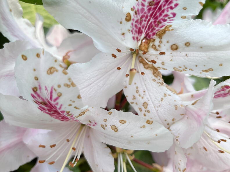 23-06-03 16-36-06 5785